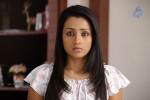 Trisha New Photos - 23 of 36