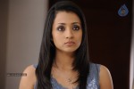 Trisha New Photos - 27 of 36