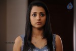 Trisha New Photos - 28 of 36