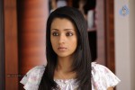 Trisha New Photos - 29 of 36