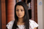 Trisha New Photos - 9 of 36