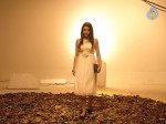 Trisha New Spicy Stills - 32 of 34