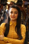 Trisha Photos - 5 of 56