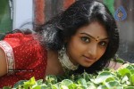 Vahida Photo Stills - 12 of 68