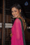 Vidisha New Stills - 32 of 66