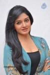 Vimala Raman Gallery - 11 of 47