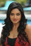 Vimala Raman High Resolution Photos - 1 of 70