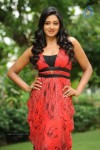 Vimala Raman High Resolution Photos - 4 of 70