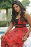 Vimala Raman High Resolution Photos - 47 of 70