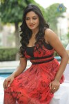 Vimala Raman High Resolution Photos - 53 of 70