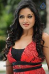 Vimala Raman High Resolution Photos - 18 of 70