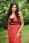 Vimala Raman High Resolution Photos - 44 of 70