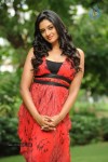 Vimala Raman High Resolution Photos - 45 of 70