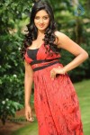 Vimala Raman High Resolution Photos - 48 of 70