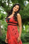 Vimala Raman High Resolution Photos - 51 of 70