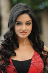 Vimala Raman High Resolution Photos - 53 of 70