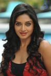 Vimala Raman High Resolution Photos - 54 of 70