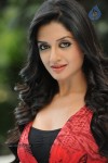 Vimala Raman High Resolution Photos - 59 of 70