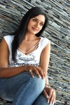 Vimala Raman New Hot Photos - 98 of 119