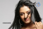 Vimala Raman New Pics - 16 of 28