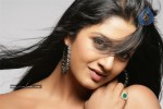 Vimala Raman New Pics - 17 of 28