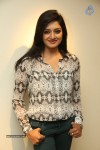 Vimala Raman New Pics - 38 of 62
