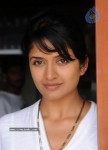 Vimala Raman New Stills - 16 of 36