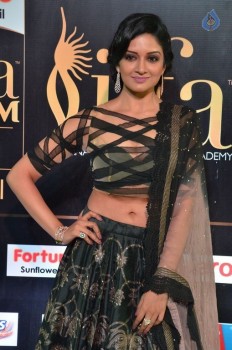 Vimala Raman Stills at IIFA 2017 - 30 of 30