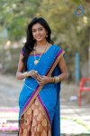 Vithika Latest Stills - 49 of 54