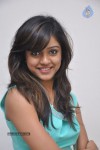 Vithika Sheru Gallery - 14 of 56