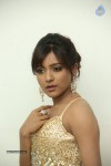 Vithika Sheru Latest Gallery - 4 of 80