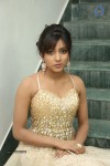 Vithika Sheru Latest Gallery - 11 of 80