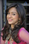 Vithika Sheru New Images - 73 of 90