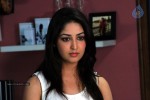 Yami Gautam New Hot Stills - 15 of 40