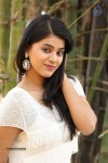 Yamini Bhaskar New Photos - 15 of 82