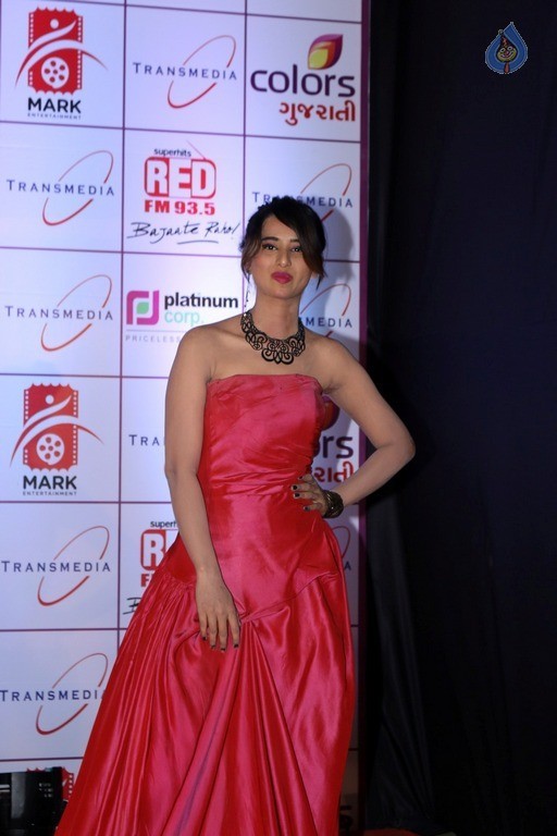 16th Transmedia Gujarati Screen and Stage Awards - 13 / 38 photos