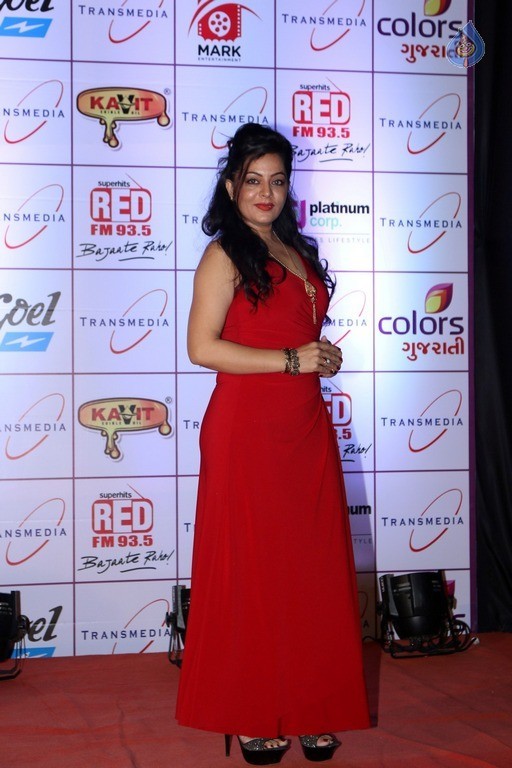 16th Transmedia Gujarati Screen and Stage Awards - 14 / 38 photos