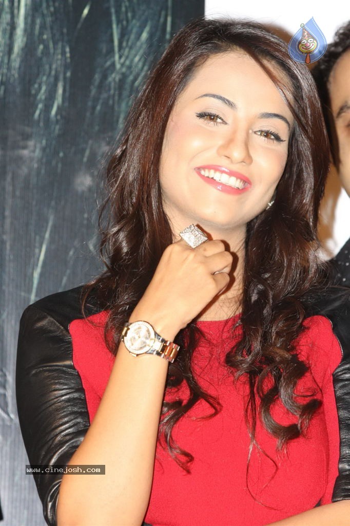 1920 Evils Returns Movie Press Meet - 30 / 48 photos