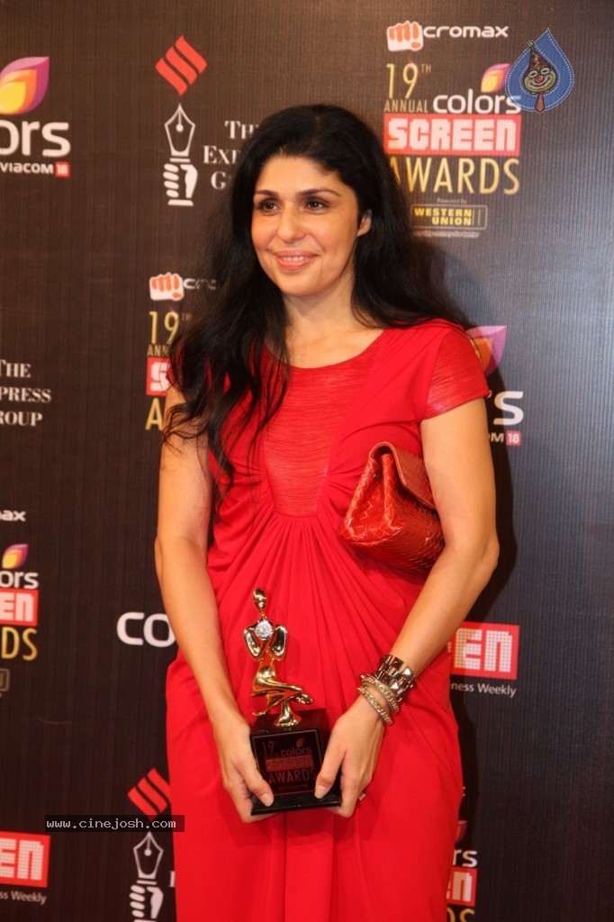 19th Annual Colors Screen Awards 2013 - 128 / 173 photos