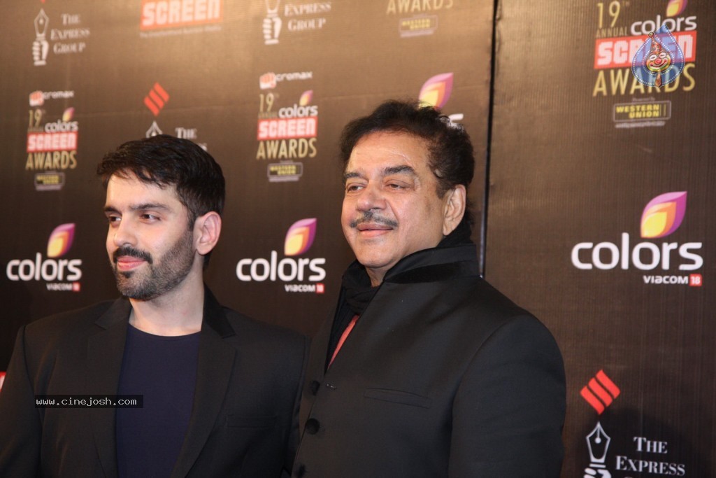 19th Annual Colors Screen Awards 2013 - 140 / 173 photos