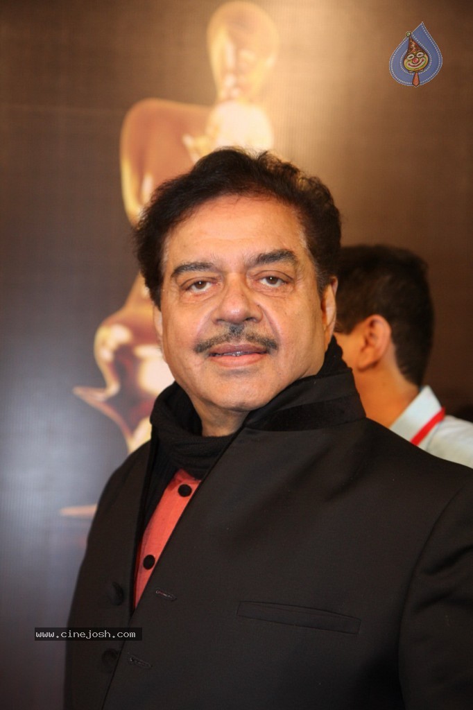 19th Annual Colors Screen Awards 2013 - 143 / 173 photos