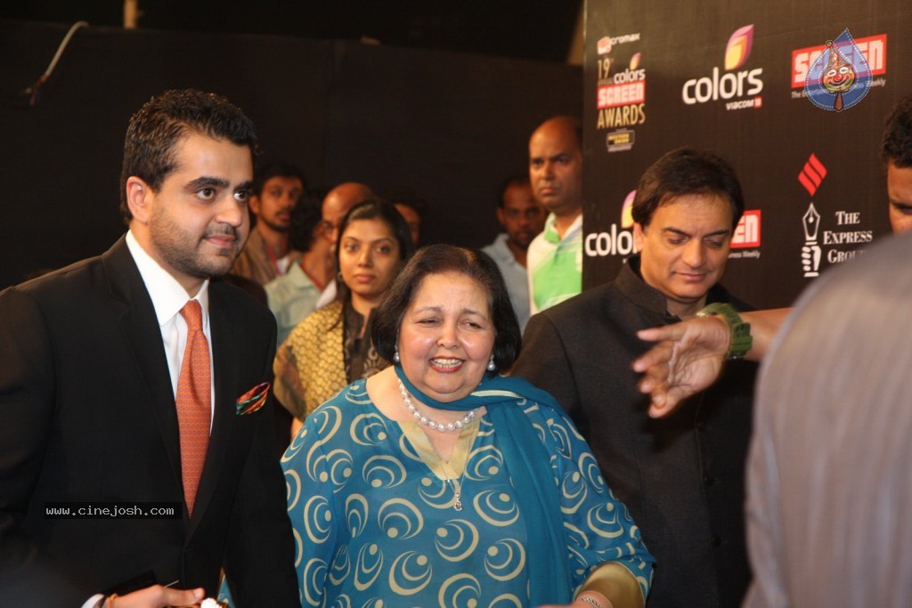 19th Annual Colors Screen Awards 2013 - 145 / 173 photos