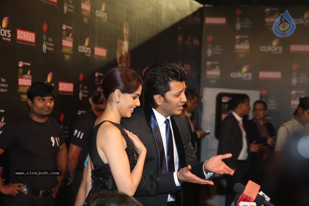 19th Annual Colors Screen Awards 2013 - 147 / 173 photos