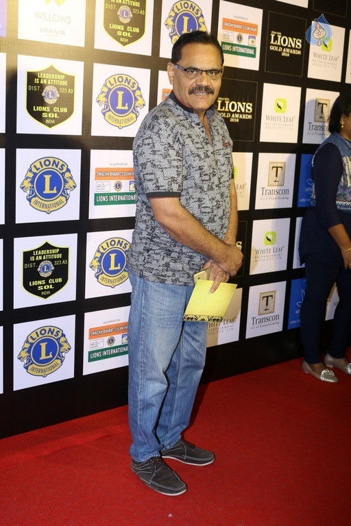 23rd Sol Lion Gold Awards - 4 / 48 photos