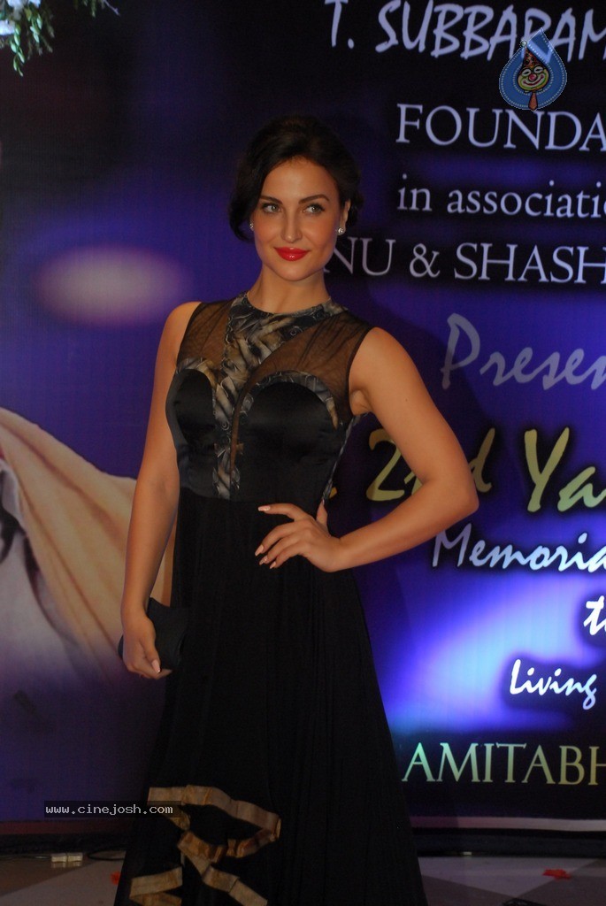 2nd Yash Chopra Memorial Award Presentation  - 24 / 92 photos