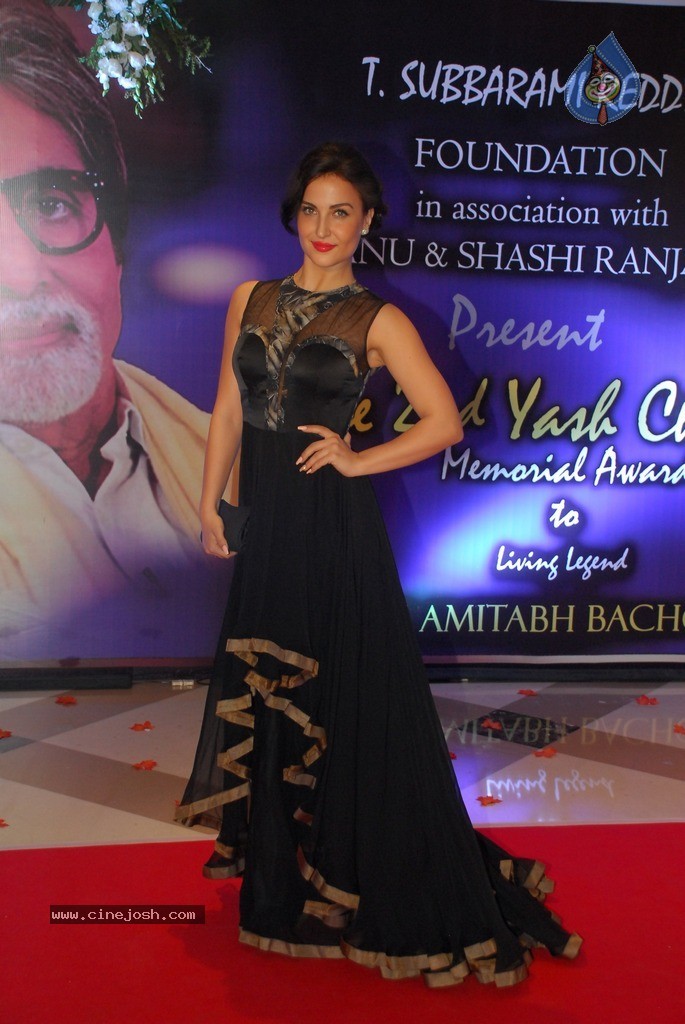 2nd Yash Chopra Memorial Award Presentation  - 33 / 92 photos