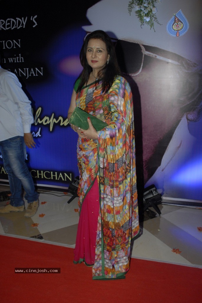 2nd Yash Chopra Memorial Award Presentation  - 37 / 92 photos