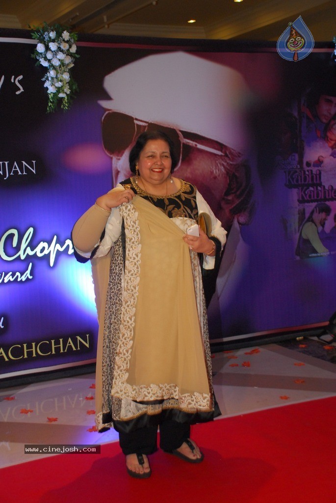 2nd Yash Chopra Memorial Award Presentation  - 48 / 92 photos