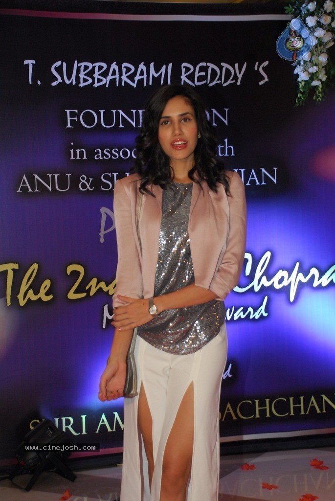 2nd Yash Chopra Memorial Award Presentation  - 72 / 92 photos