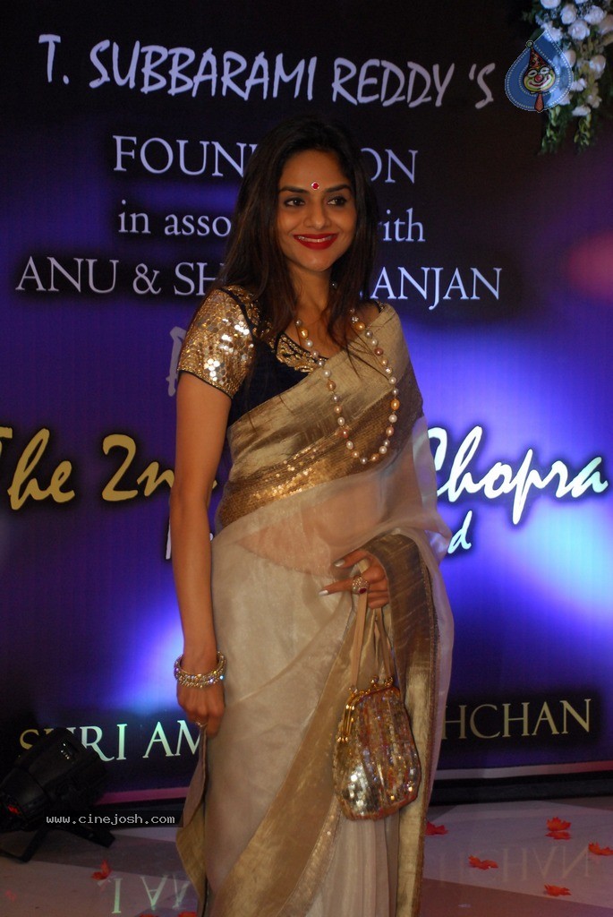 2nd Yash Chopra Memorial Award Presentation  - 76 / 92 photos